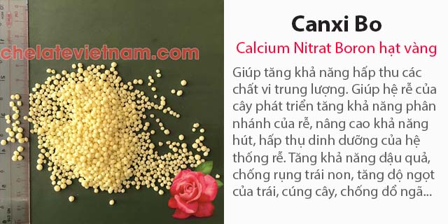 Phân bón Canxi Bo (Calcium Nitrat Boron) hạt vàng